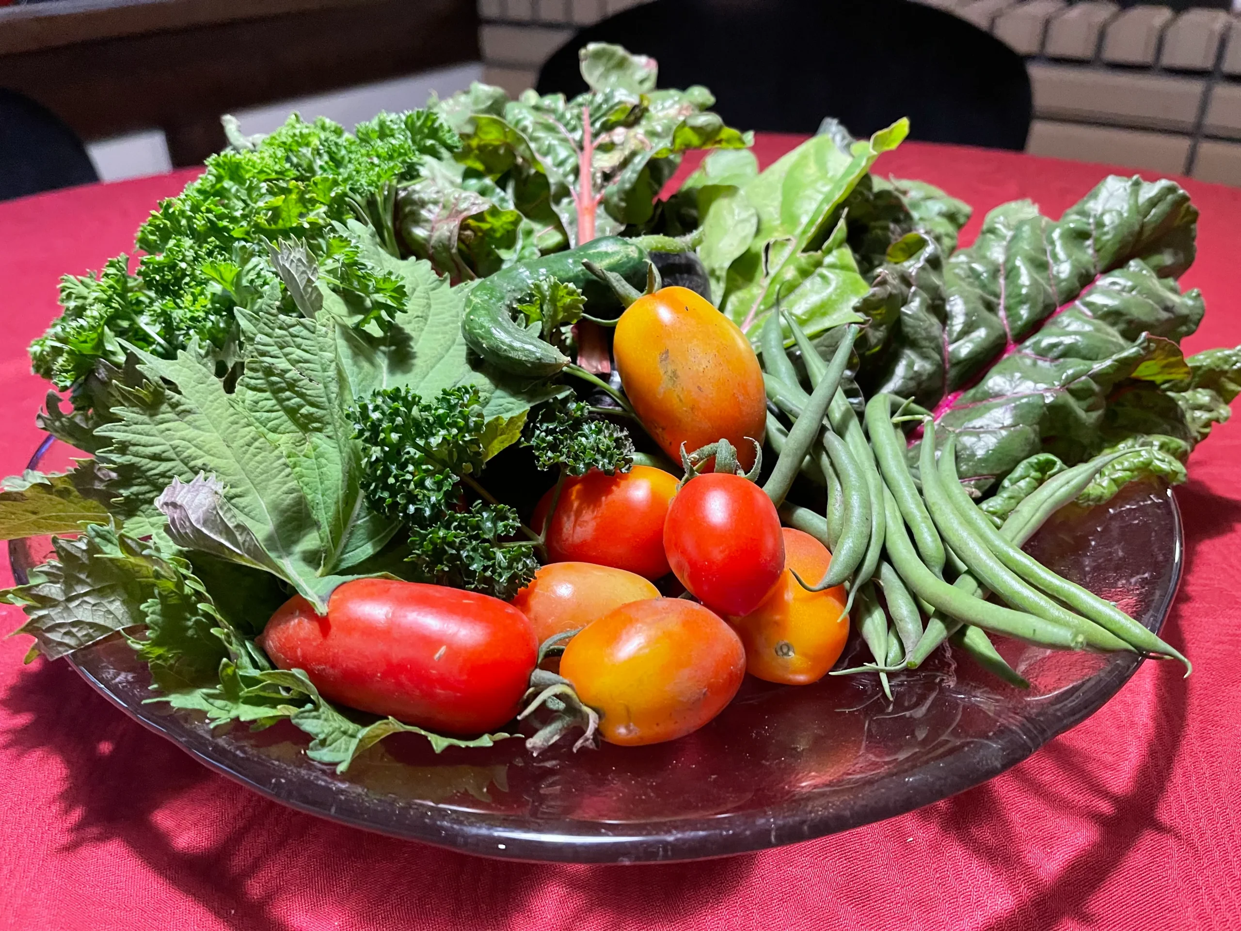 Rinko Farm Diary｜7/20 Our Memorable First Harvest